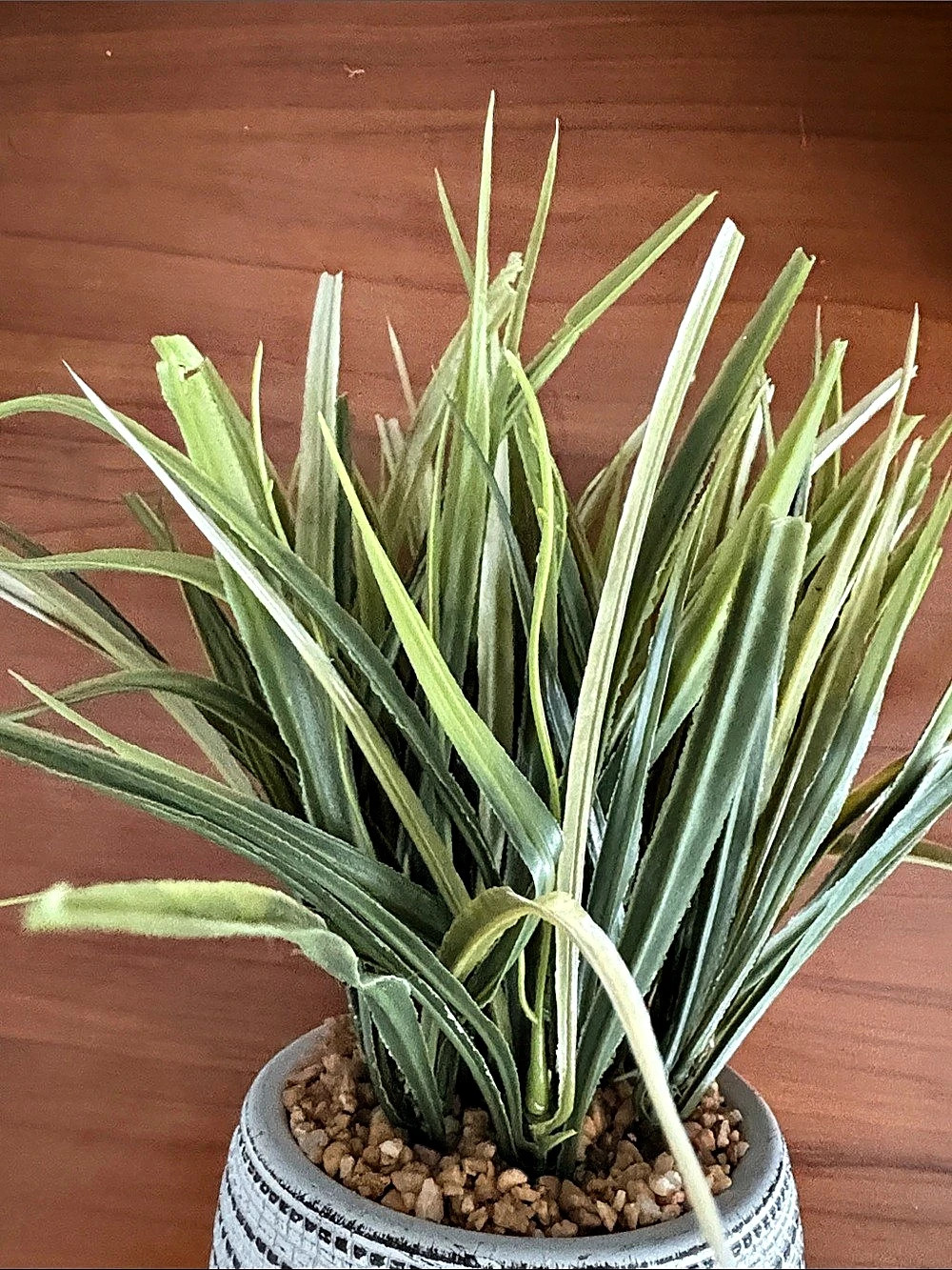 Green & White Potted Faux Plant Decor - Picture 2 of 7
